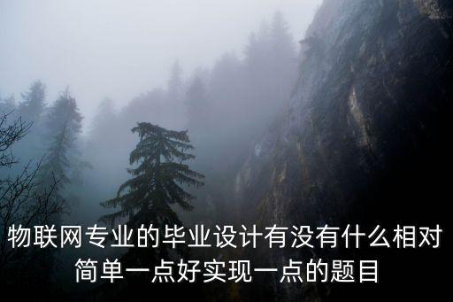 物聯(lián)網(wǎng)專業(yè)的畢業(yè)設(shè)計有沒有什么相對簡單一點好實現(xiàn)一點的題目