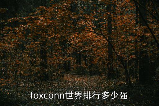 foxconn世界排行多少?gòu)?qiáng)
