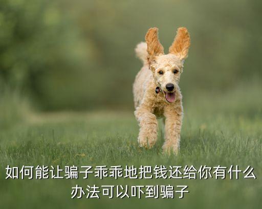 如何能讓騙子乖乖地把錢還給你有什么辦法可以嚇到騙子