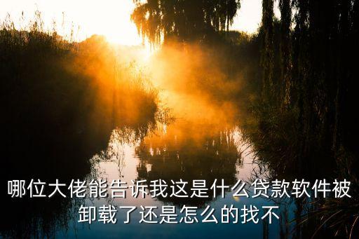 哪位大佬能告訴我這是什么貸款軟件被卸載了還是怎么的找不