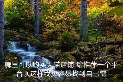 哪里可以購買天貓店鋪 給推薦一個平臺唄這樣我更容易找到自己需