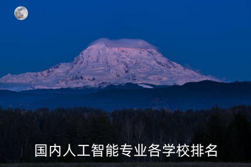 國內(nèi)人工智能專業(yè)各學(xué)校排名