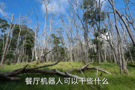 餐廳機(jī)器人可以干些什么
