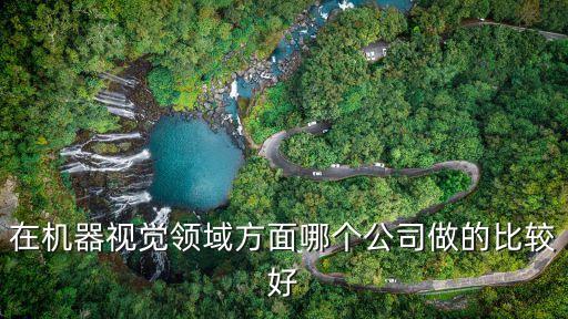 在機(jī)器視覺領(lǐng)域方面哪個(gè)公司做的比較好