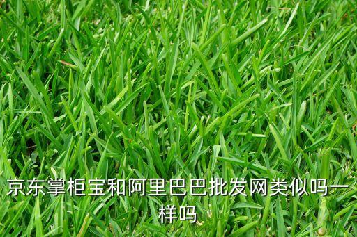 京東掌柜寶和阿里巴巴批發(fā)網(wǎng)類似嗎一樣嗎