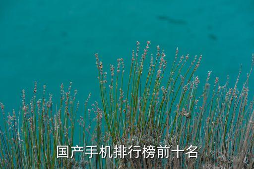 國(guó)產(chǎn)手機(jī)排行榜2022前十名，國(guó)產(chǎn)手機(jī)排行榜前十名