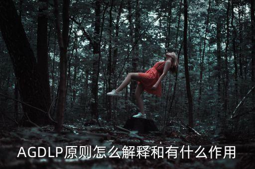 AGDLP原則怎么解釋和有什么作用