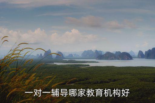 一對(duì)一補(bǔ)課哪個(gè)機(jī)構(gòu)好，一對(duì)一輔導(dǎo)哪家機(jī)構(gòu)好一點(diǎn)呢