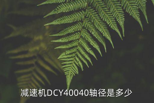 減速機DCY40040軸徑是多少