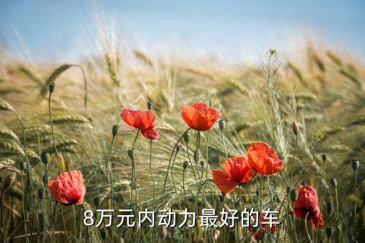 8萬以內(nèi)最好的純電動汽車是哪款，8萬元內(nèi)動力最好的車