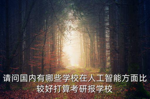 請問國內(nèi)有哪些學(xué)校在人工智能方面比較好打算考研報(bào)學(xué)校