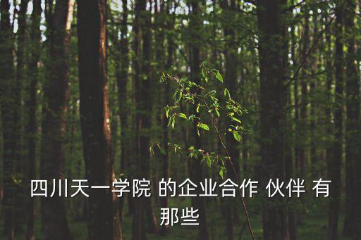 四川天一學(xué)院 的企業(yè)合作 伙伴 有那些