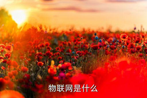 物聯(lián)網(wǎng)是什么