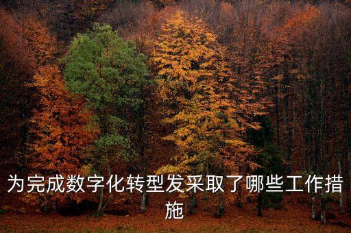 為完成數(shù)字化轉型發(fā)采取了哪些工作措施