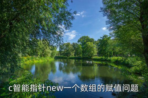 c智能指針new一個(gè)數(shù)組的賦值問題
