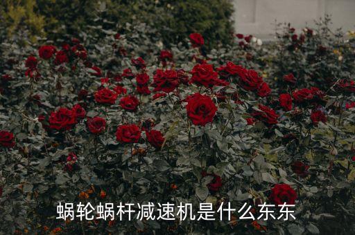 蝸輪蝸桿減速機(jī)是什么東東