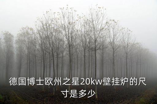 家用壁掛直飲機尺寸是多少，德國博士歐州之星20kw壁掛爐的尺寸是多少