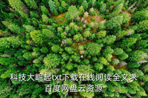 科技大崛起txt下載在線閱讀全文求百度網(wǎng)盤云資源