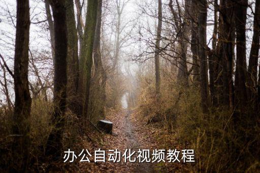 辦公自動化視頻教程
