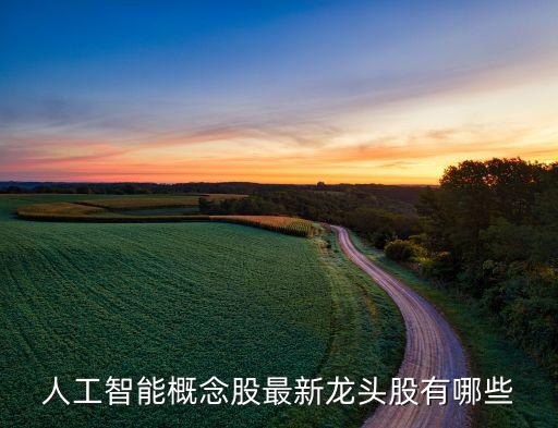 人工智能概念股最新龍頭股有哪些