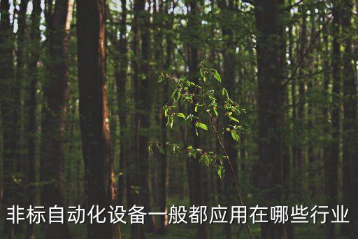 非標(biāo)自動化設(shè)備一般都應(yīng)用在哪些行業(yè)