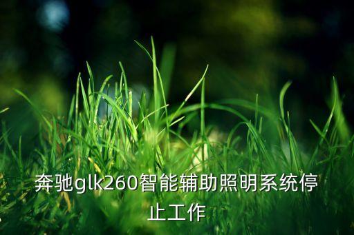 智能照明系統(tǒng)停止運作，奔馳ml350智能照明系統(tǒng)停止運作怎么了