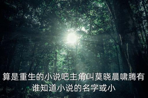 算是重生的小說(shuō)吧主角叫莫曉晨嘯騰有誰(shuí)知道小說(shuō)的名字或小