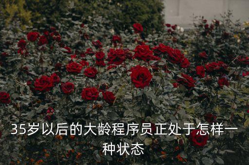 35歲以后的大齡程序員正處于怎樣一種狀態(tài)