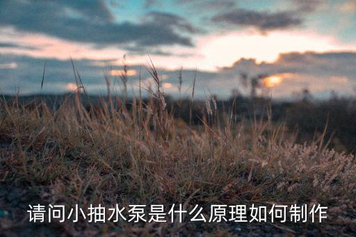 請(qǐng)問小抽水泵是什么原理如何制作