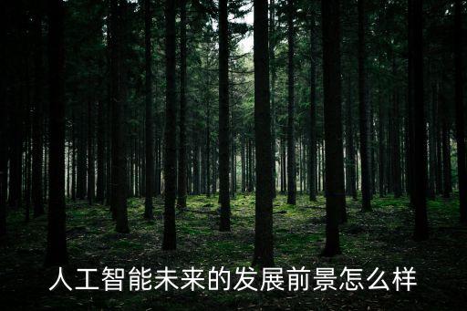 人工智能未來的發(fā)展前景怎么樣