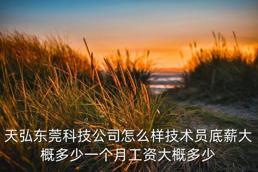 天一智能科技東莞有限公司，天弘東莞科技公司怎么樣技術員底薪大概多少一個月工資大概多少