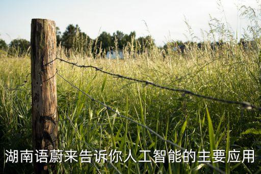 湖南語蔚來告訴你人工智能的主要應(yīng)用