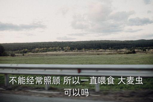 不能經(jīng)常照顧 所以一直喂食 大麥蟲可以嗎