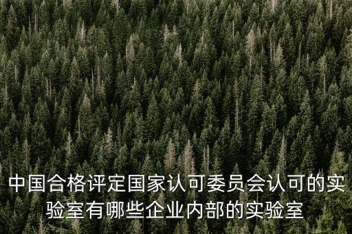 蘇州實(shí)驗(yàn)室獲批國(guó)家實(shí)驗(yàn)室，請(qǐng)問(wèn)江蘇宗申檢測(cè)中心獲得國(guó)家級(jí)認(rèn)可實(shí)驗(yàn)室稱(chēng)號(hào)的日期