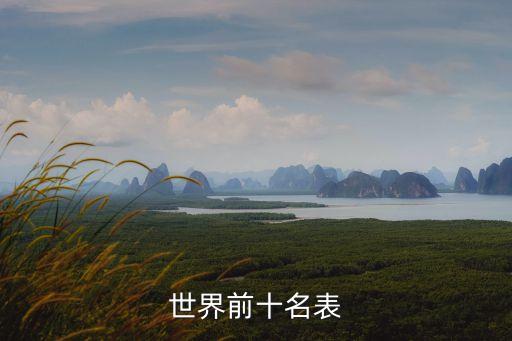 世界前十名表