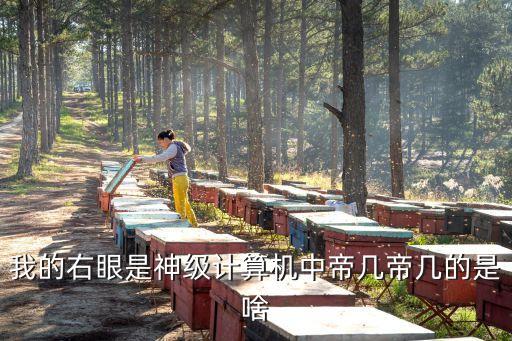 我的右眼是神級計算機(jī)，在電腦上顯示3G上顯示不在手機(jī)QQ上顯示
