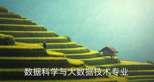 數(shù)據(jù)科學(xué)與大數(shù)據(jù)技術(shù)專業(yè)