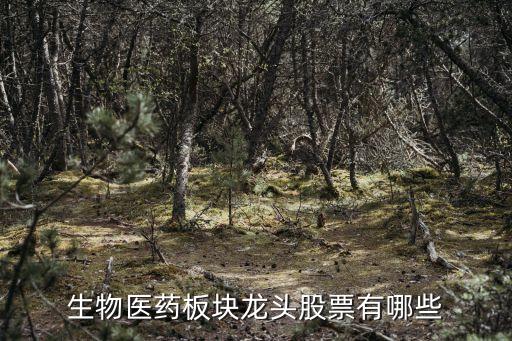 生物醫(yī)藥板塊龍頭股票有哪些