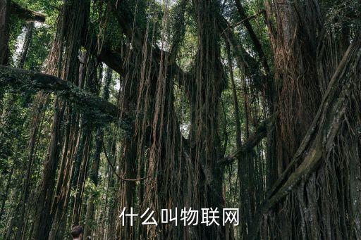 什么叫物聯(lián)網(wǎng)