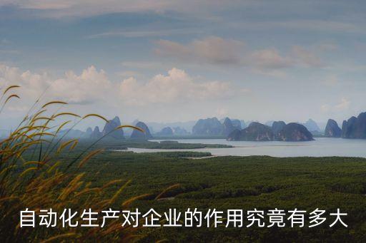自動化生產(chǎn)對企業(yè)的作用究竟有多大