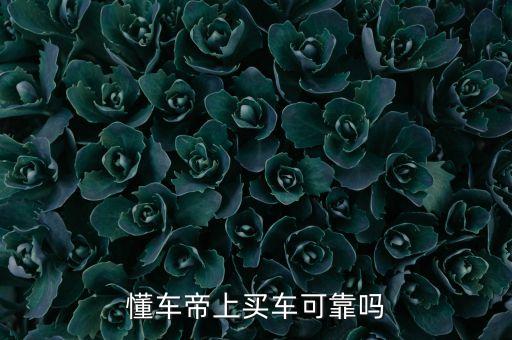 懂車帝上買車可靠嗎