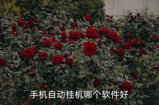 手機(jī)自動(dòng)掛機(jī)哪個(gè)軟件好