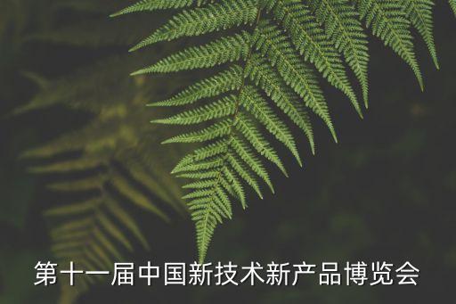 第十一屆中國新技術(shù)新產(chǎn)品博覽會