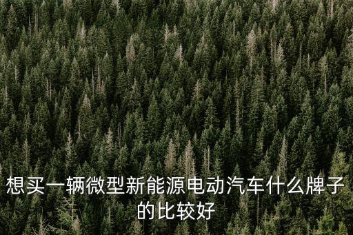 想買一輛微型新能源電動汽車什么牌子的比較好