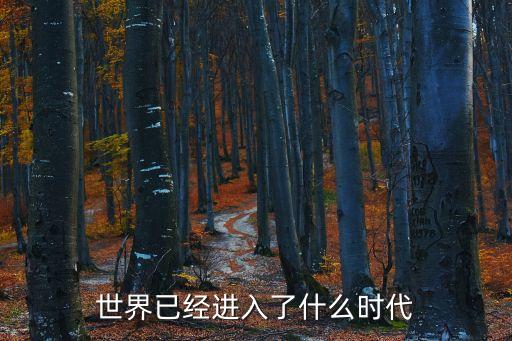 世界已經(jīng)進(jìn)入了什么時(shí)代