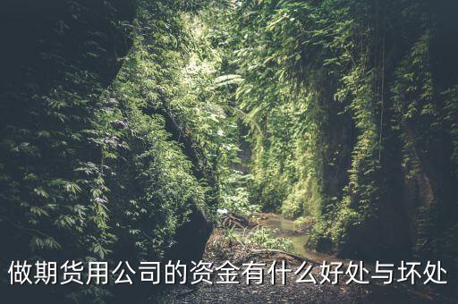 做期貨用公司的資金有什么好處與壞處