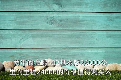 兩年的金鵬502基本版26000公里的里程24000的價格值得購買么