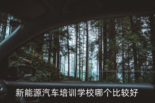 新能源汽車(chē)維修培訓(xùn)班，新能源汽車(chē)培訓(xùn)學(xué)校哪個(gè)比較好