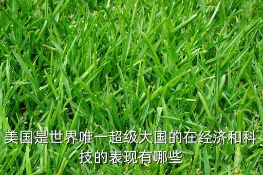 美國是世界唯一超級(jí)大國的在經(jīng)濟(jì)和科技的表現(xiàn)有哪些