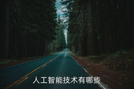 人工智能技術(shù)有哪些